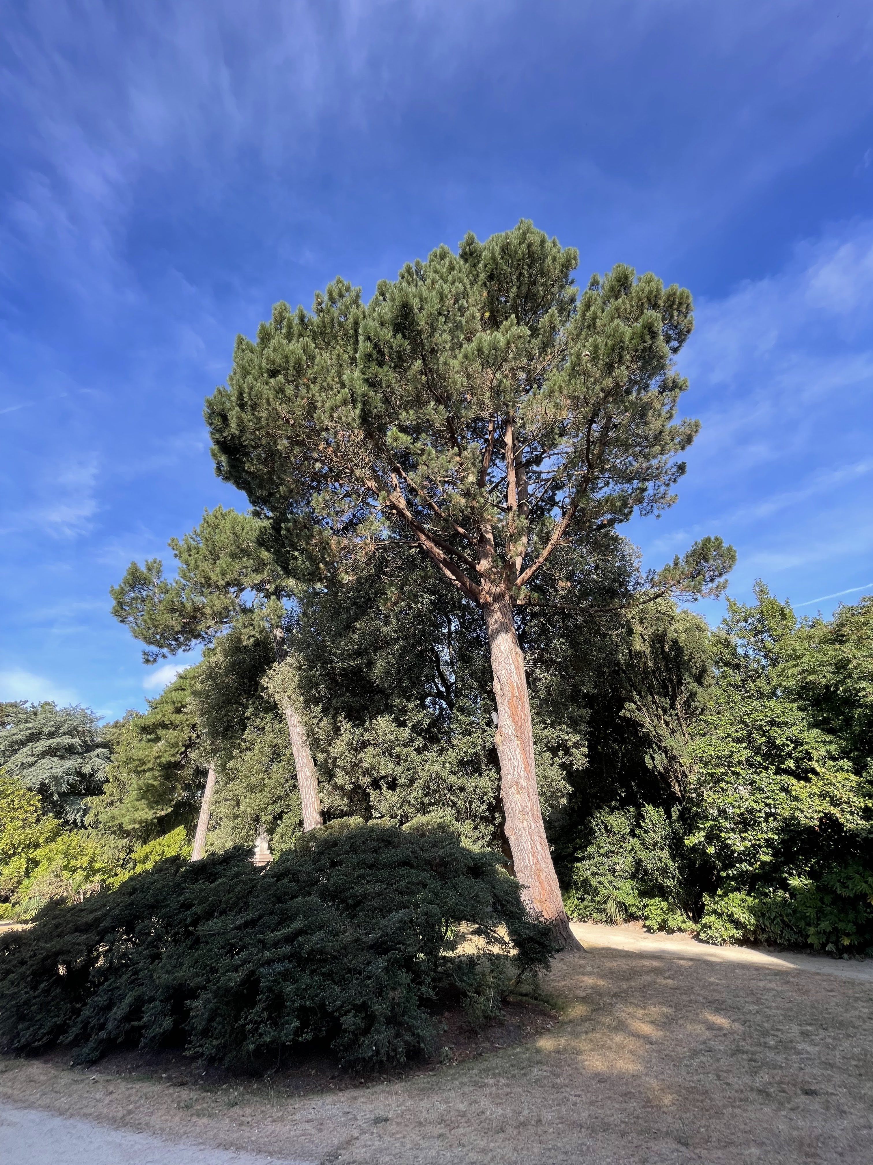 Photo n° 1 de l'avis de Jérôme.o fait le 07/08/2022 à 08:25