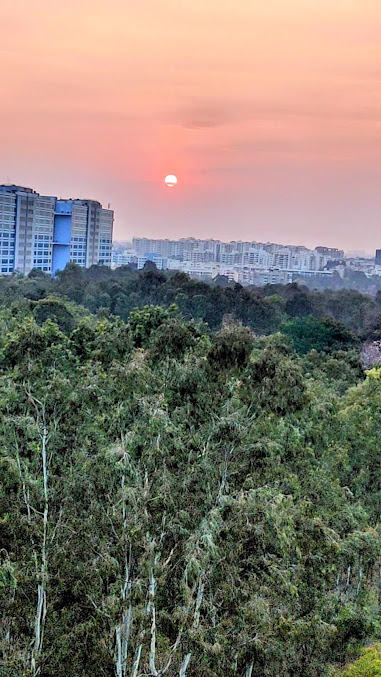 Google Maps image 12