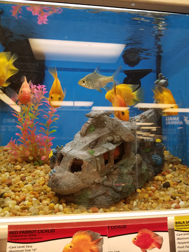 Pet Supply Store «Pet Supplies Plus», reviews and photos, 1530 S Washington St, Crawfordsville, IN 47933, USA