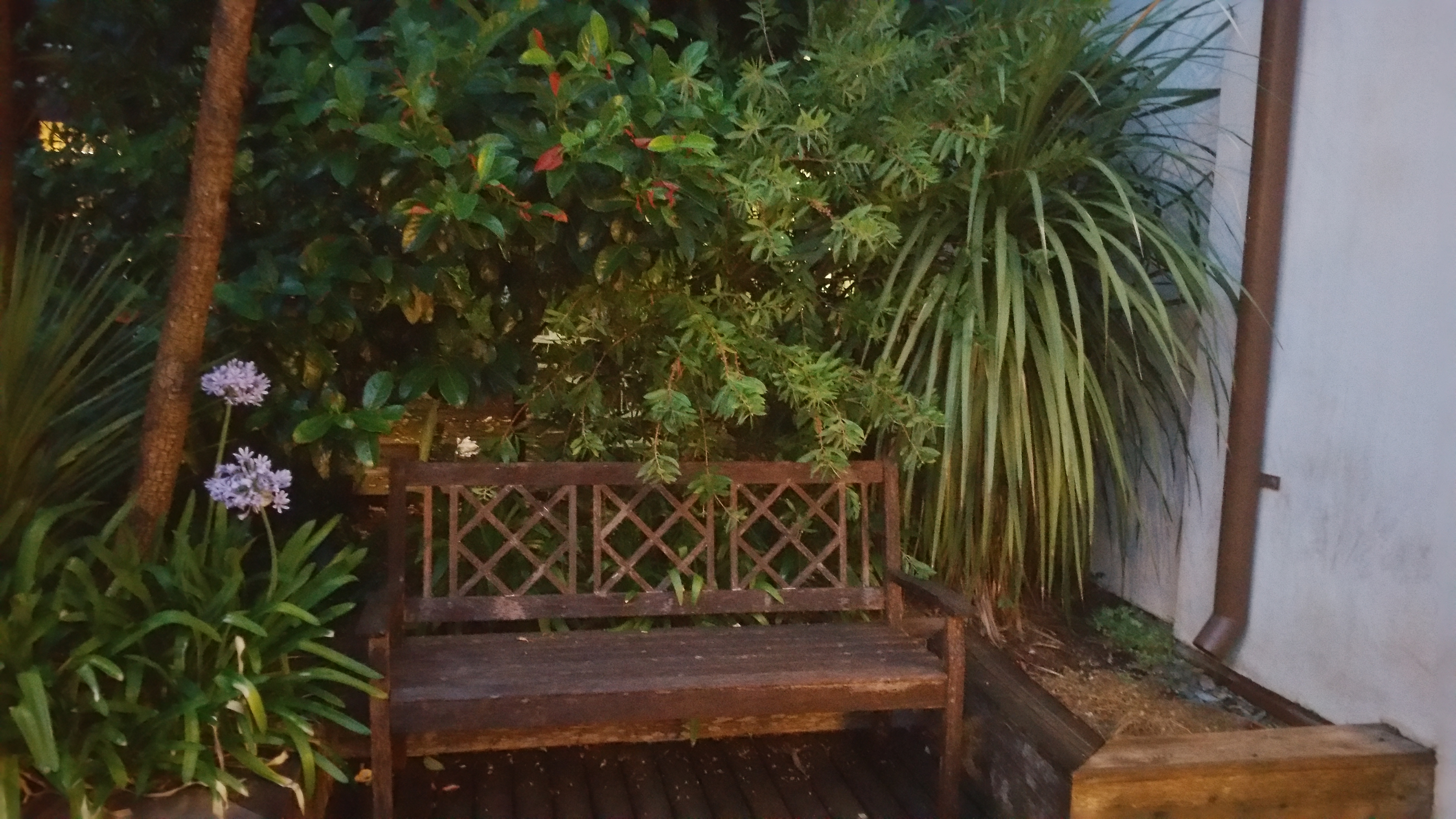 Photo n° 3 de l'avis de Myriam.e fait le 28/07/2019 à 20:40