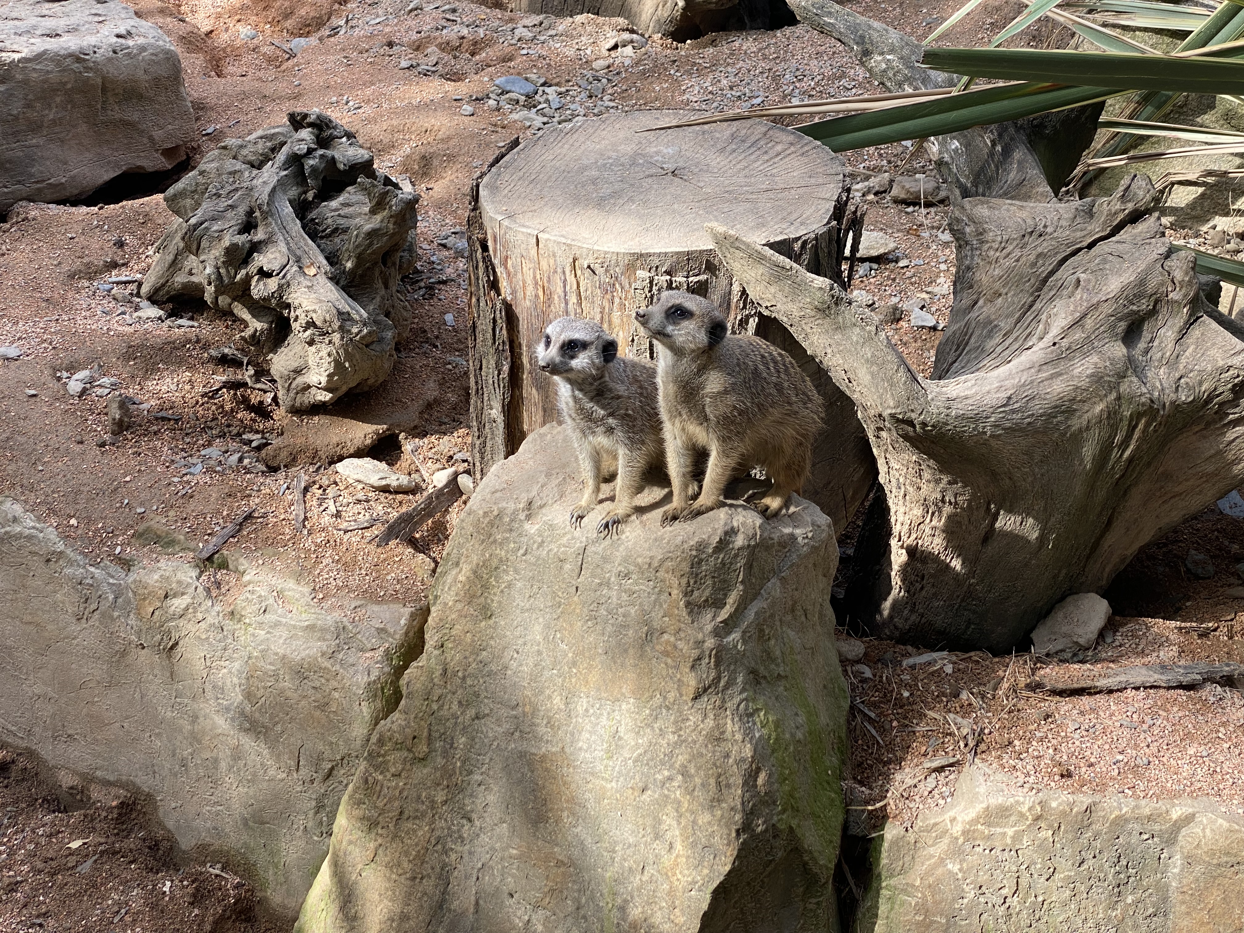 Photo n° 4 de l'avis de Julie-Audrey.e fait le 28/10/2022 à 03:13