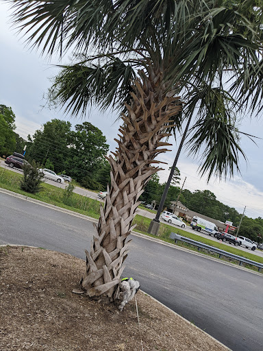 Pet Supply Store «PetSmart», reviews and photos, 5226 S College Rd, Wilmington, NC 28412, USA