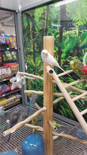 Pet Supply Store «Petco Animal Supplies», reviews and photos, 1203 SE Everett Mall Way f, Everett, WA 98208, USA