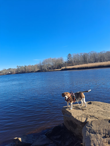 Park «Sweets Knoll State Park», reviews and photos, 1387 Somerset Ave, Dighton, MA 02715, USA