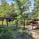 Photo n°4 de l'avis de Laura.a fait le 27/07/2023 à 11:16 sur le  Il Vignale Ostello Ristorante à San Benedetto In Alpe