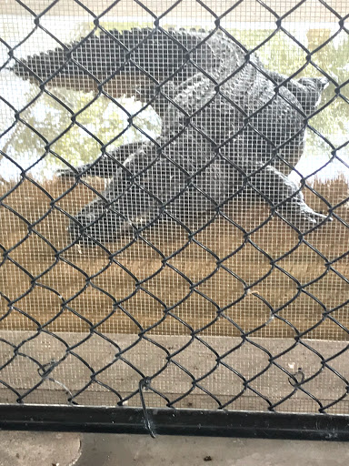 Visitor Center «Big Cypress Swamp Welcome Center», reviews and photos