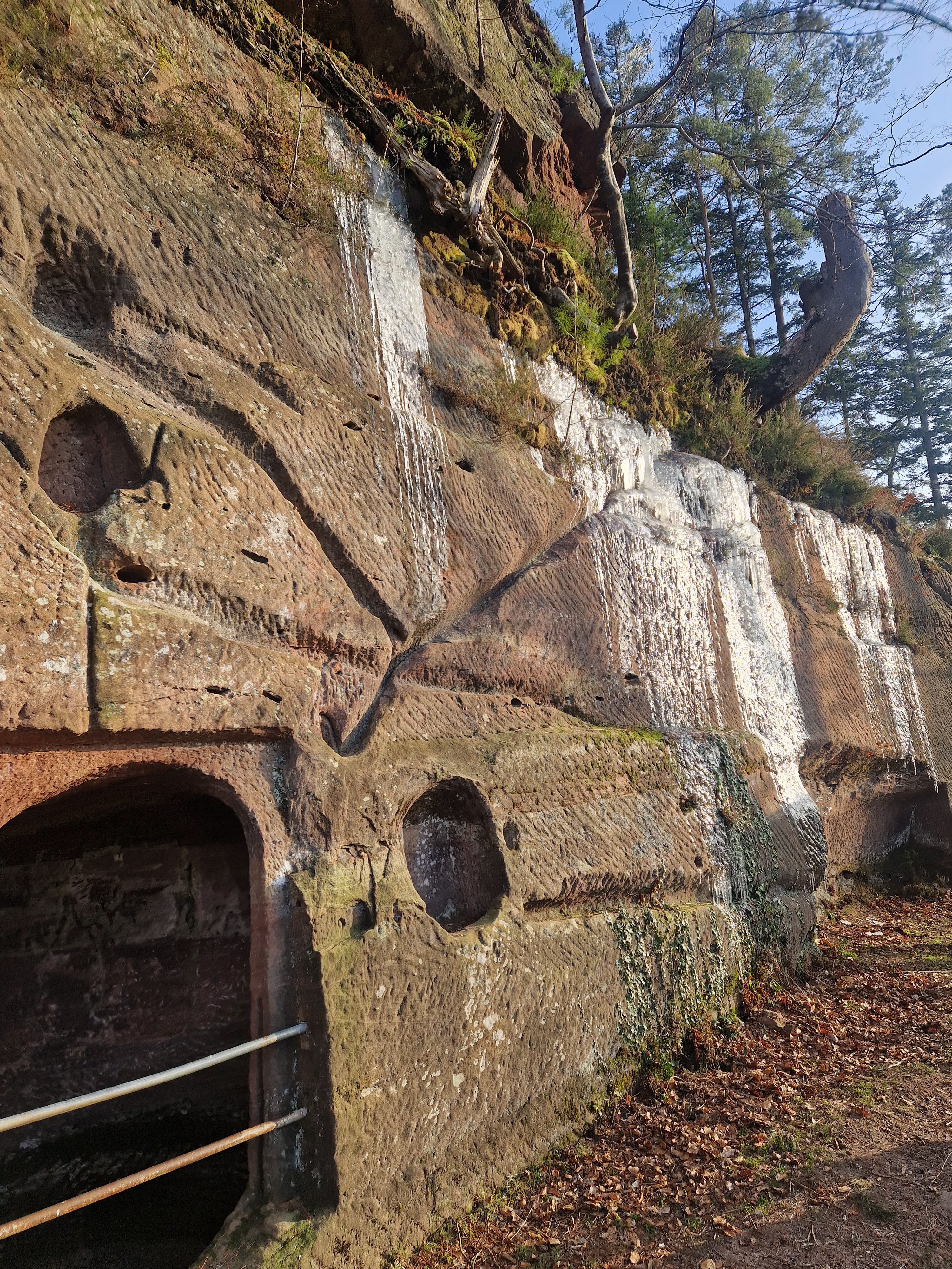 Photo n° 38 de l'avis de Beno. fait le 14/01/2024 à 20:33