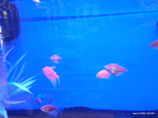 Pet Supply Store «Pet Supplies Plus», reviews and photos, 7315 Mentor Ave, Mentor, OH 44060, USA