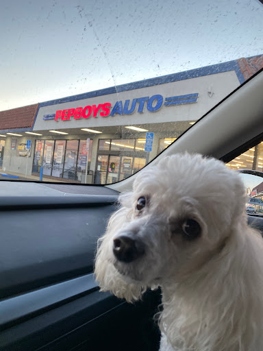 Auto Parts Store «Pep Boys Auto Parts & Service», reviews and photos, 10231 Lakewood Blvd, Downey, CA 90241, USA