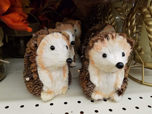 Discount Store «Big Lots», reviews and photos, 3621 N Josey Ln, Carrollton, TX 75007, USA