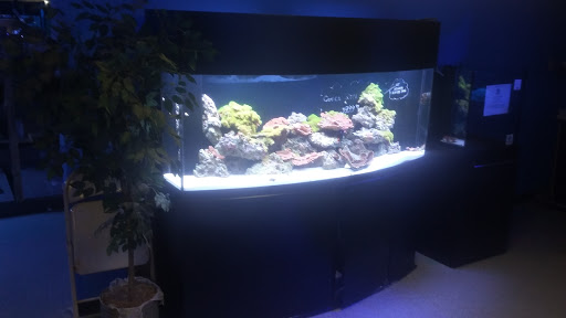 Tropical Fish Store «Saltwater Paradise», reviews and photos, 1313 W Airport Fwy, Irving, TX 75062, USA