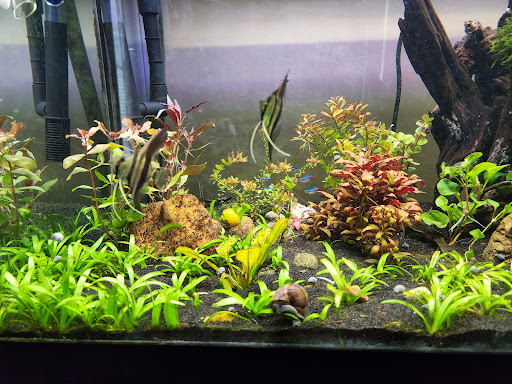 Pet Supply Store «Petco Animal Supplies», reviews and photos, 2520 E 3rd St, Bloomington, IN 47401, USA