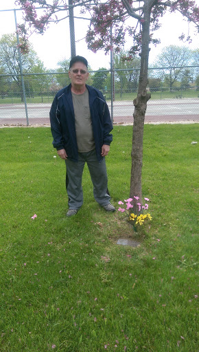 Park «Eastpointe Spindler Park», reviews and photos, 19400 Stephens Rd, Eastpointe, MI 48021, USA