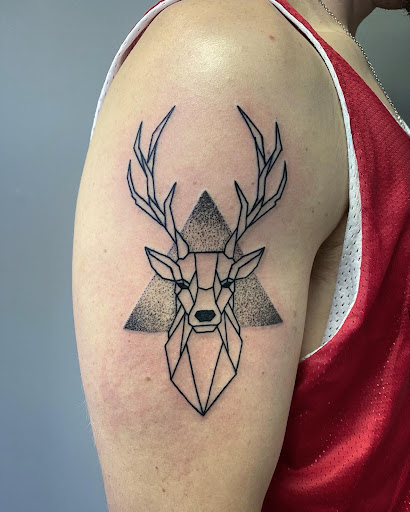 Explore hedwig tattoo ideas, creative tattoo ideas in Canfield, available at Black Rose Tattoo Studio