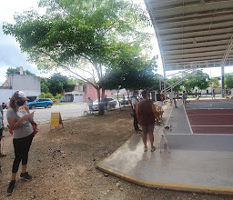 DOMO MUNDO HABITATT photo