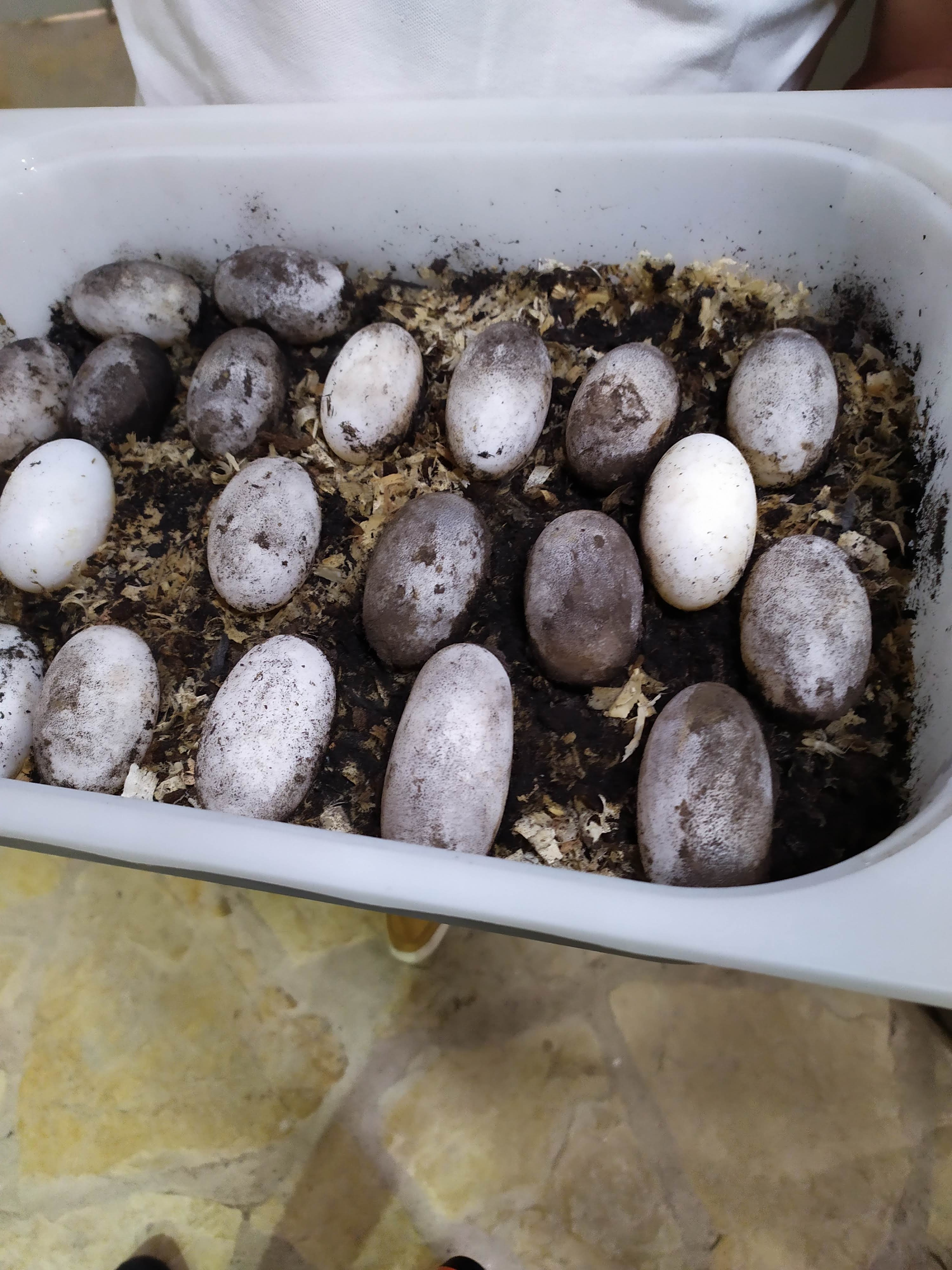 Photo n° 7 de l'avis de Hélodie. fait le 25/08/2020 à 06:29