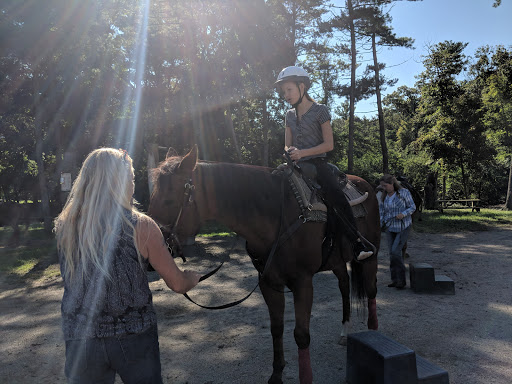 Tourist Attraction «C and L Stables», reviews and photos, 1095 Ives Rd, East Greenwich, RI 02818, USA