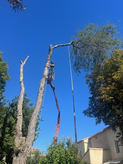 Photo n° 1 de l'avis de Samuel.a fait le 07/10/2023 à 10:51