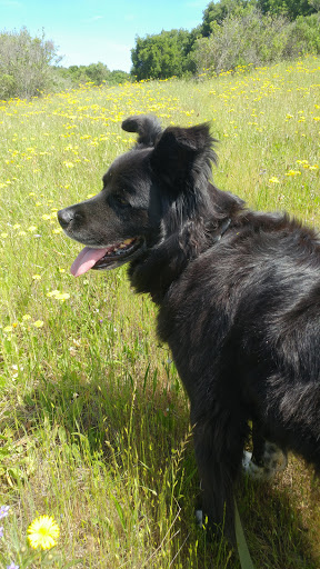 Golf Course «Redwood Canyon Golf Course», reviews and photos, 17007 Redwood Rd, Castro Valley, CA 94546, USA