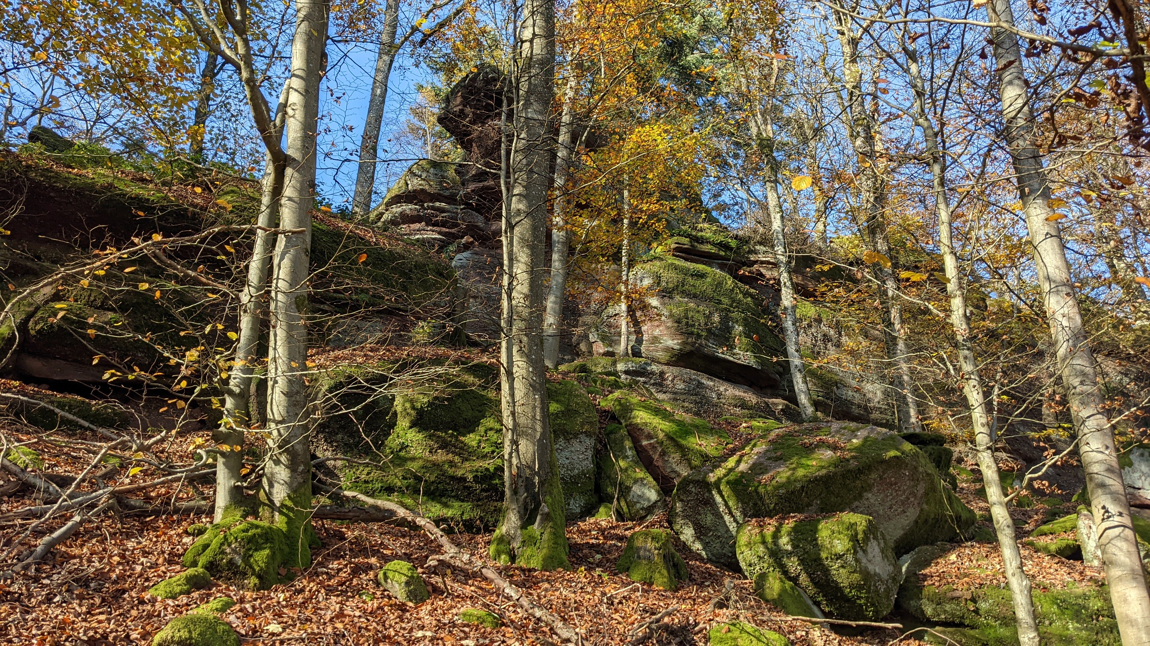 Photo n° 2 de l'avis de Frederic.l fait le 12/11/2021 à 14:20