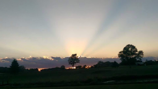 Golf Course «Timber Creek Golf Course», reviews and photos, 9750 County Rd 24, Watertown, MN 55388, USA