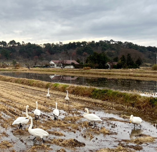 清水池公園(多田野水道水源跡)