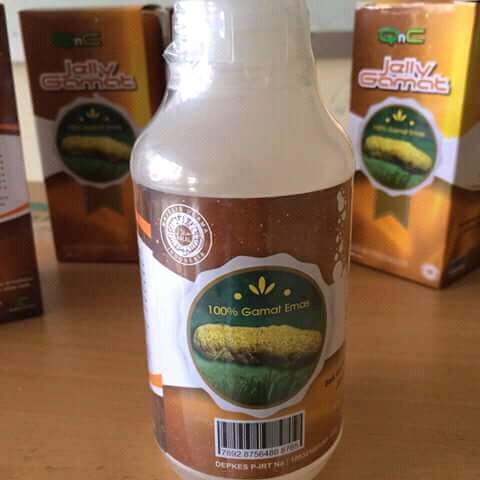 Agen Distributor Jelly Gamat Yogyakarta