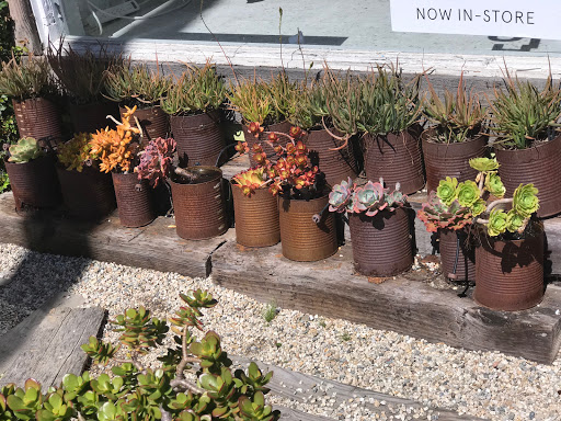 Shopping Mall «Abbot Kinney BLVD Shopping», reviews and photos, Navarre Ct, Venice, CA 90291, USA