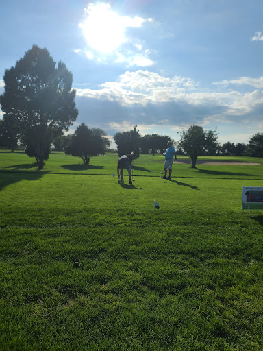 Golf Club «Cherry Creek Golf Links», reviews and photos, 900 Reeves Ave, Riverhead, NY 11901, USA