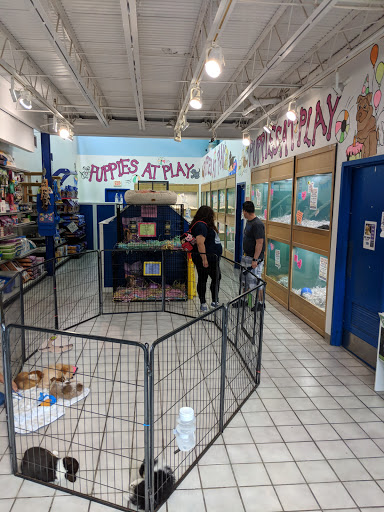 Pet Store «Pet-Go-Round», reviews and photos, 4554 VA-225, Virginia Beach, VA 23462, USA