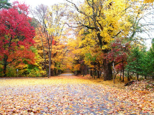 National Park «Guilford Courthouse National Military Park», reviews and photos, 2332 New Garden Rd, Greensboro, NC 27410, USA