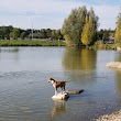 Canine Meadow - Dog Park