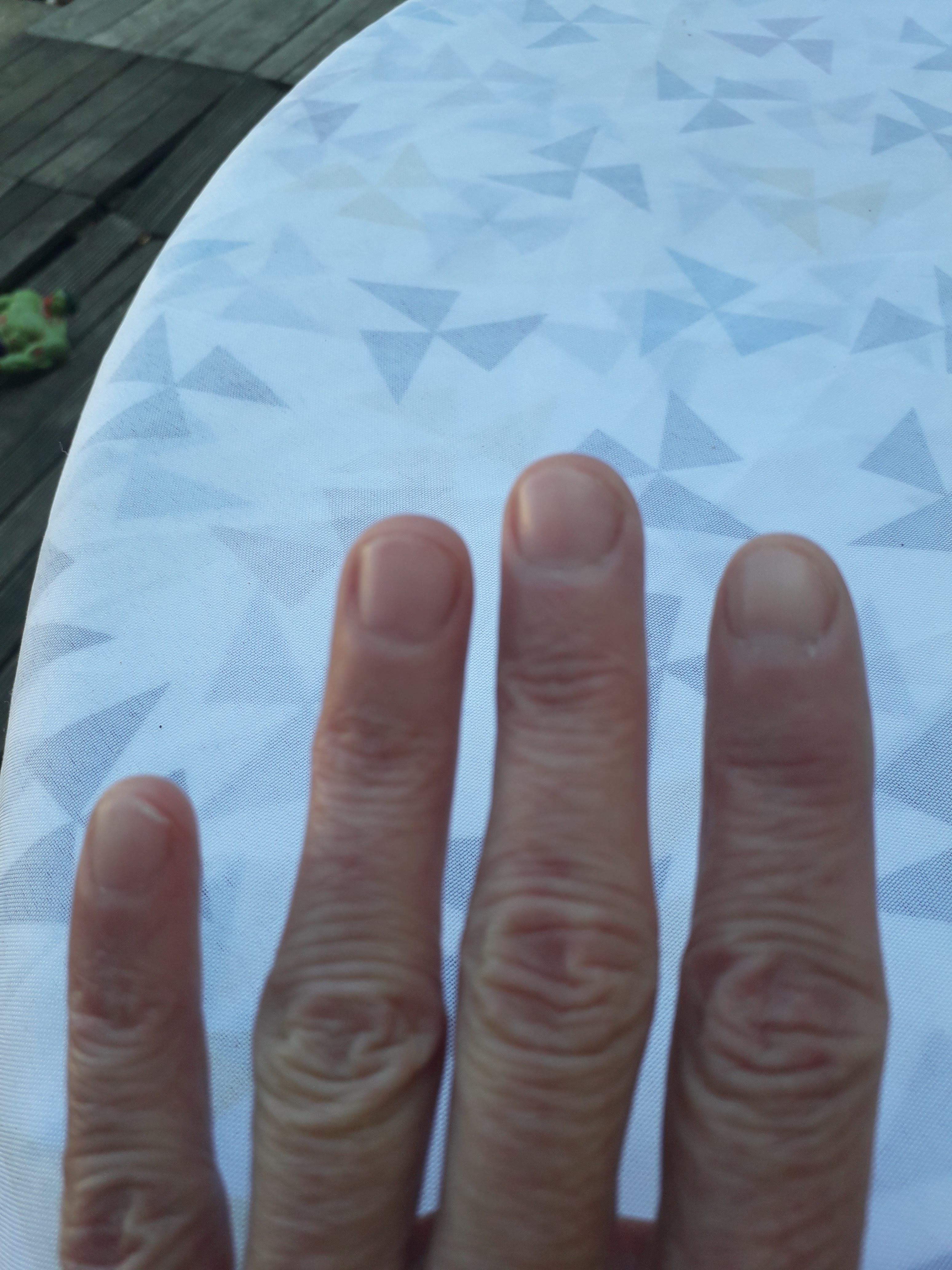Photo n° 2 de l'avis de Natacha.l fait le 24/08/2019 à 20:22