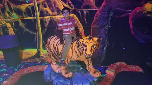 Laser Tag Center «Zap Zone Glo-Golf», reviews and photos, 41953 Ford Rd, Canton, MI 48187, USA