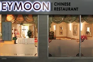 Honeymoon Chinese Restaurant - Tonbridge image