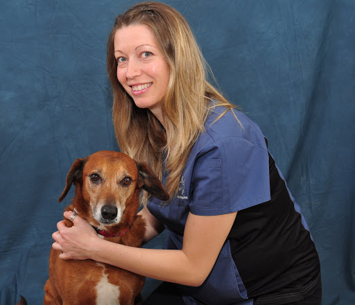 Annex Animal Hospital