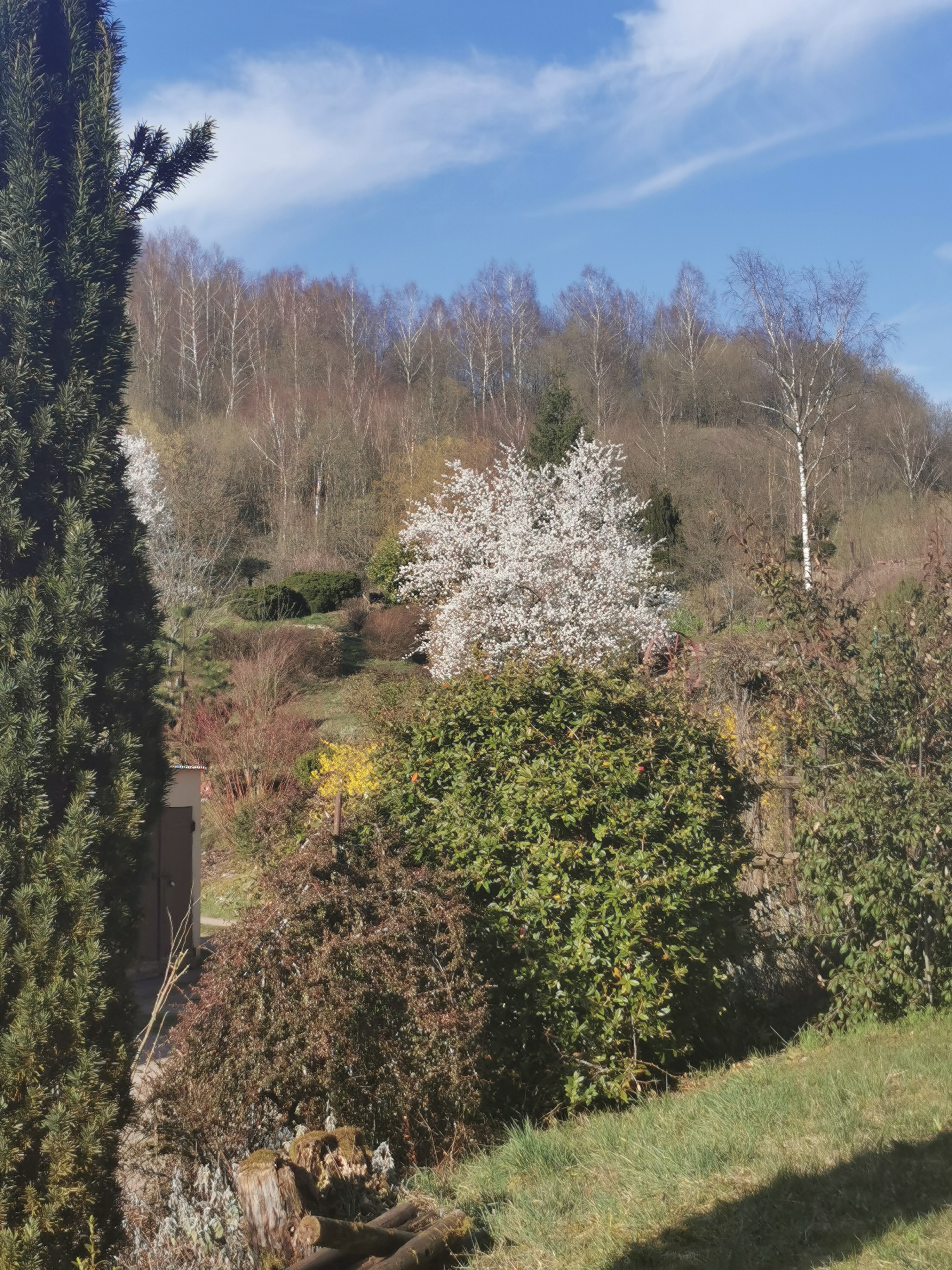 Photo n° 9 de l'avis de Phidis.a fait le 03/07/2019 à 17:43
