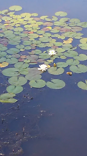 Park «Sterling Forest State Park», reviews and photos, Old Forge Rd, Tuxedo Park, NY 10987, USA