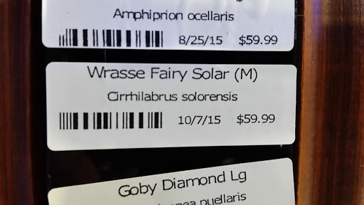 Tropical Fish Store «Beyond the Reef», reviews and photos, 205 W Golf Rd, Schaumburg, IL 60195, USA