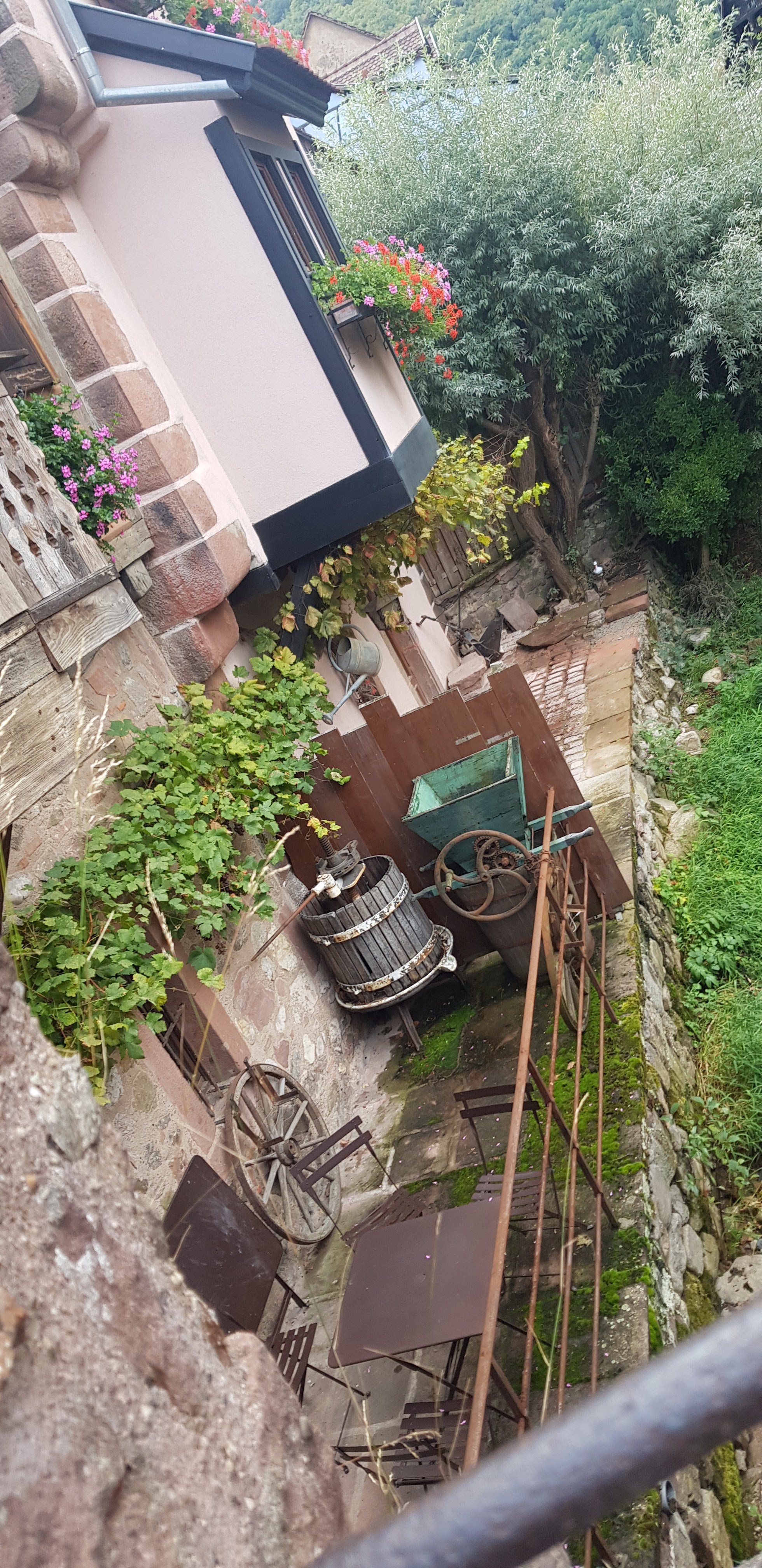Photo n° 22 de l'avis de Nadine.a fait le 05/10/2021 à 15:20