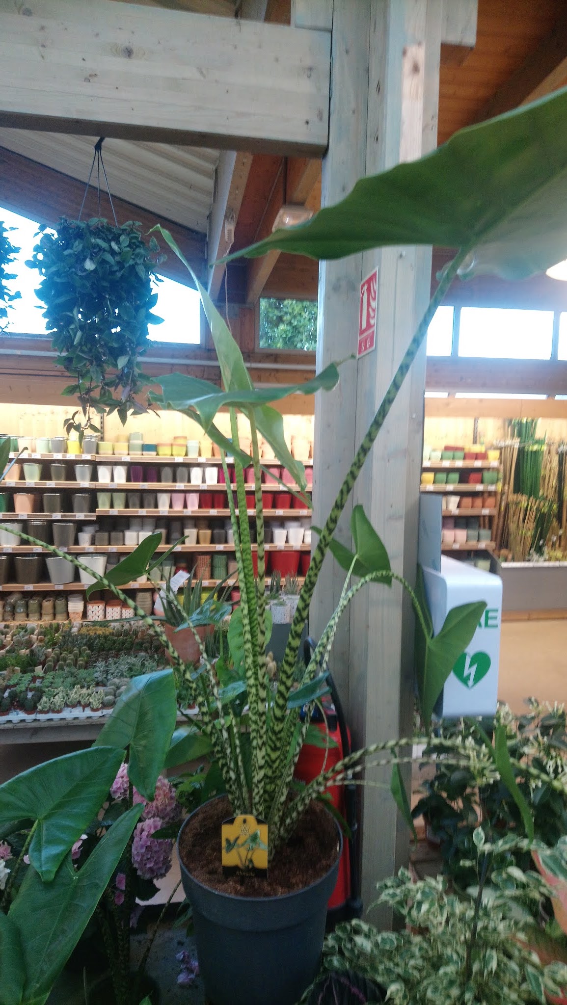 Photo n° 2 de l'avis de Alti.� fait le 04/10/2020 à 17:43