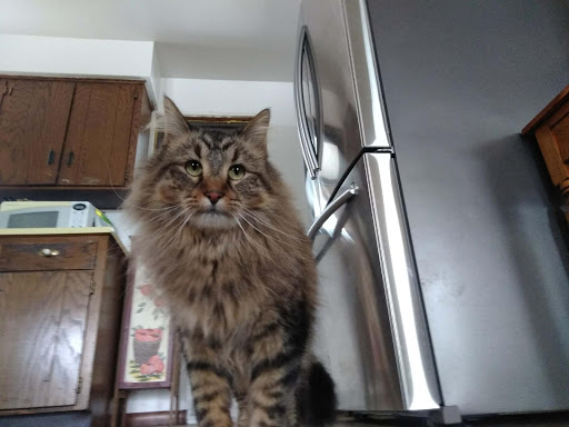 Pet Supply Store «Pet Food Plus», reviews and photos, 2819 E Hamilton Ave, Eau Claire, WI 54701, USA