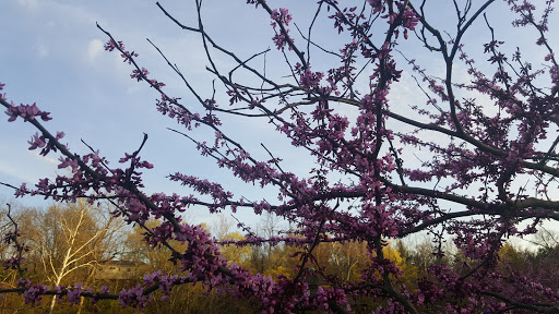 Park «Pioneer Park», reviews and photos, 10505 Deerfield Rd, Montgomery, OH 45242, USA