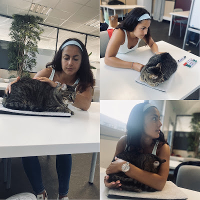 Elodie Charani - Ostéopathe Animalier à Gradignan
