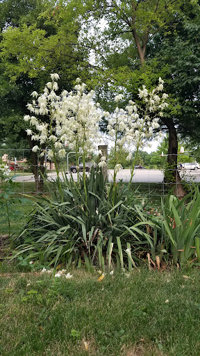 Park «Hampe Park», reviews and photos, 297 W Lies Rd, Carol Stream, IL 60188, USA