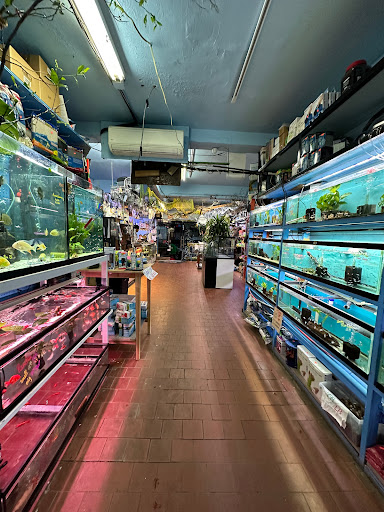 Pacific Aquarium & Plant