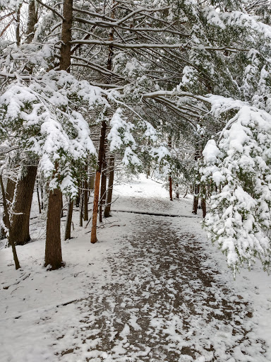 Nature Preserve «Centennial Woods Natural Area», reviews and photos, I-89, Burlington, VT 05401, USA