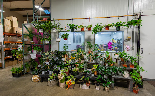 Florist «Sequoia Floral International», reviews and photos, 3245 Santa Rosa Ave, Santa Rosa, CA 95407, USA