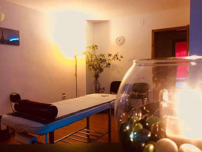 Kynoreflex Cabinet Recuperare Medicala si Masaj Relaxare - <nil>