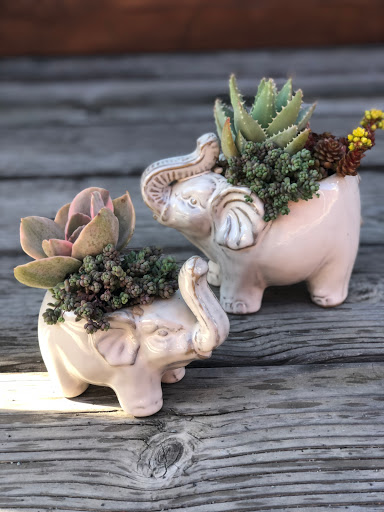 Florist «San Diego Bay Flower Co», reviews and photos, 4822 Santa Monica Ave, San Diego, CA 92107, USA